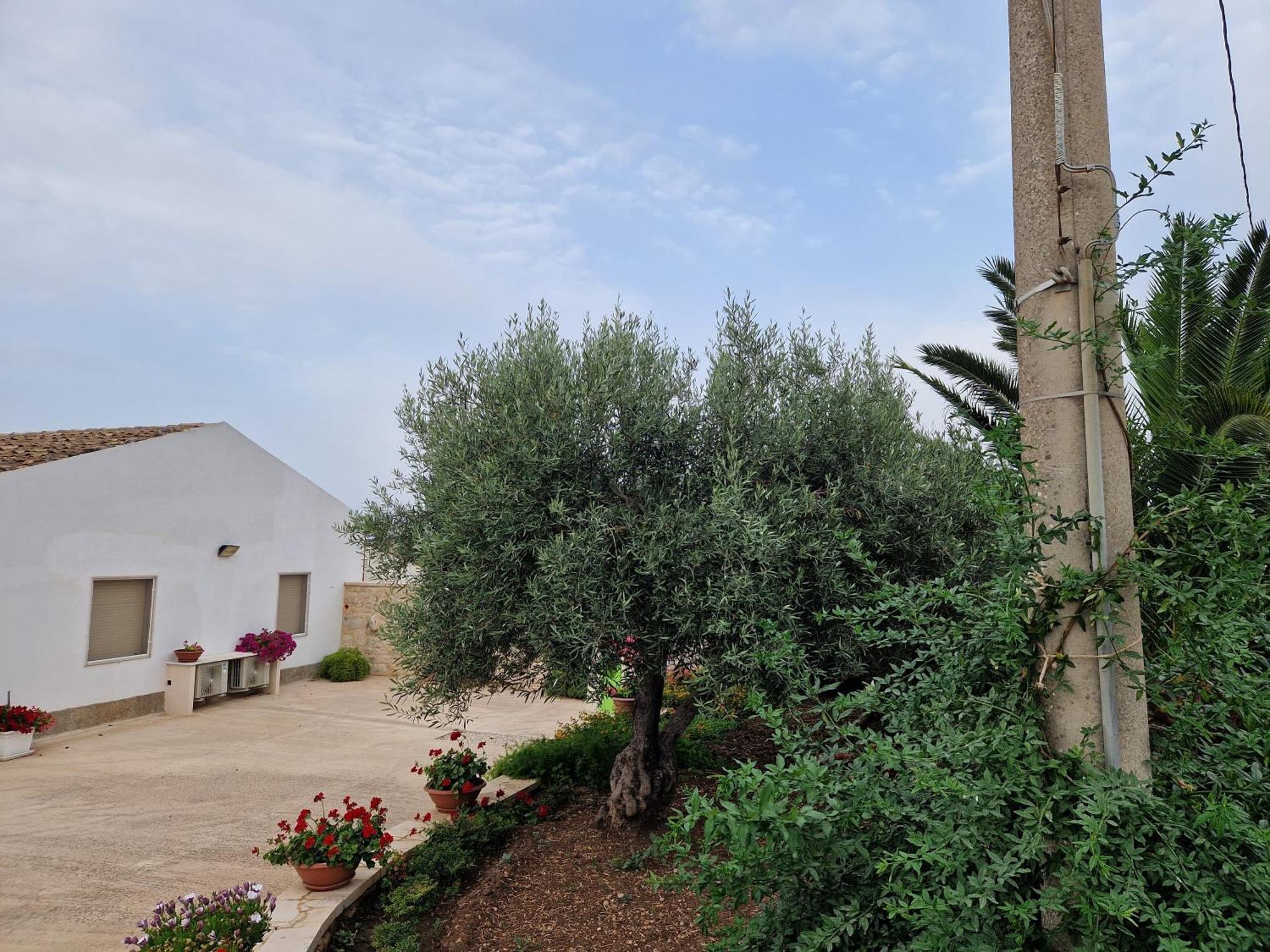 Casa Vacanza I Due Ulivi Μόντικα Εξωτερικό φωτογραφία
